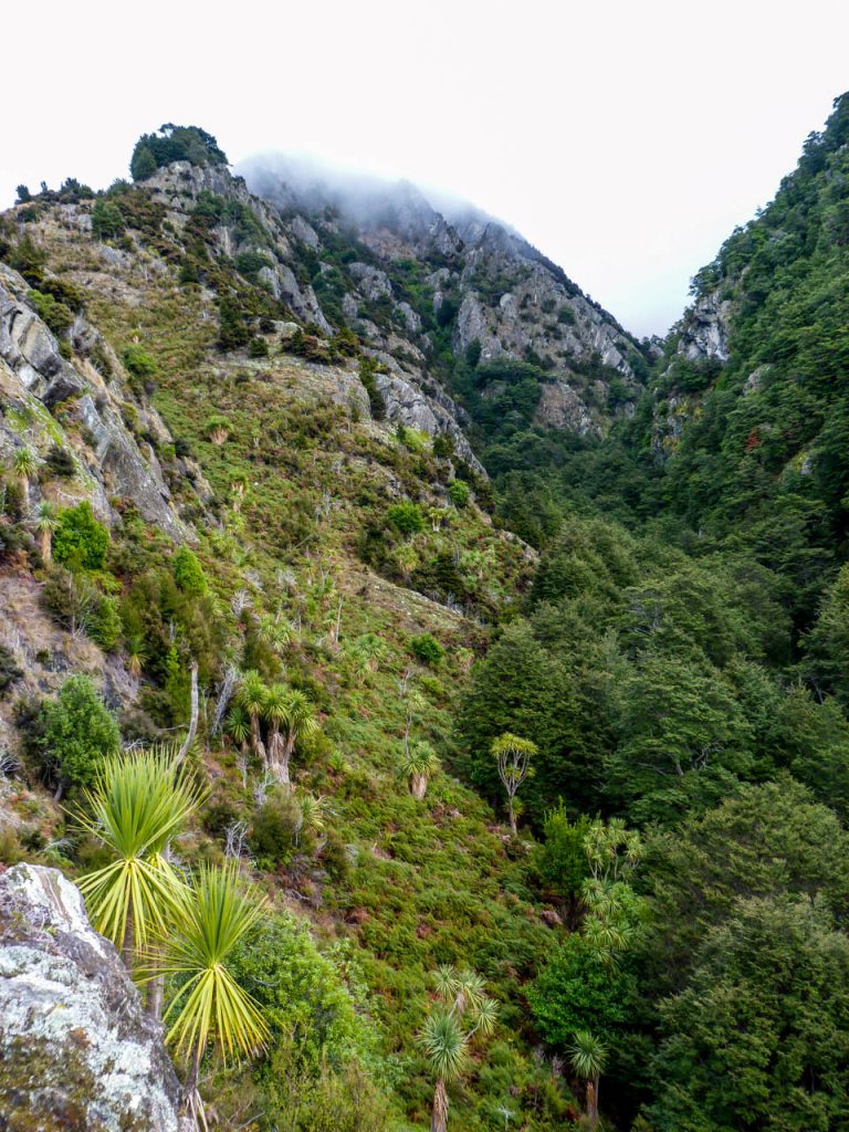 Ausblick auf bewaldete Schluchten